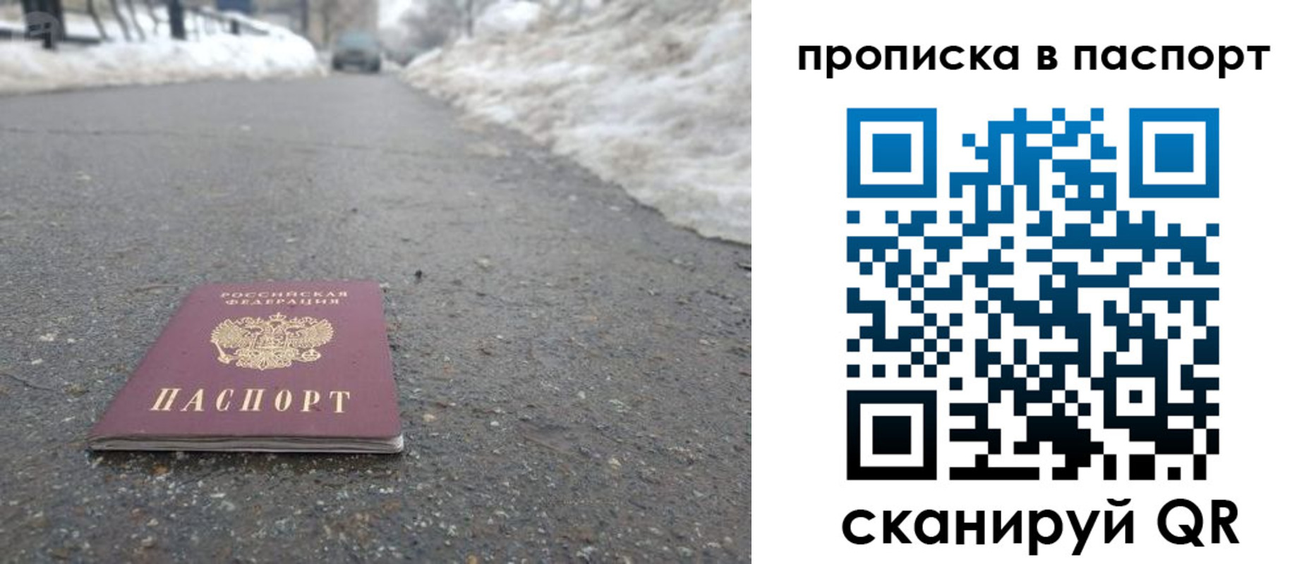 временная регистрация гарантия в Курске